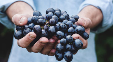 Agritourism is alive and well in Langley