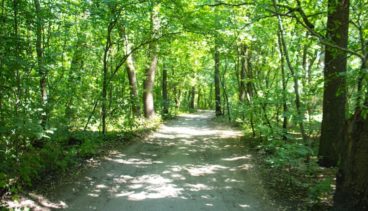 Six unbelievable bike trails near Copperstone in Calgary